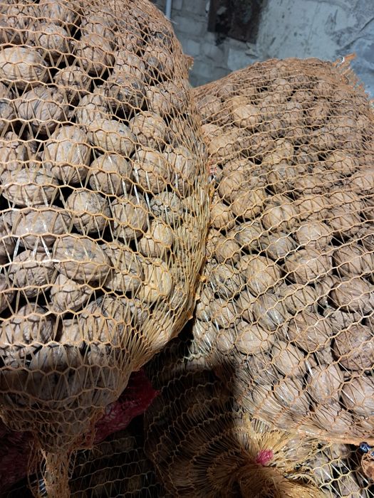 Orzechy włoskie całe