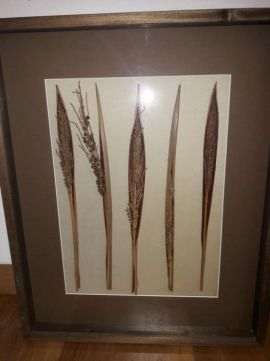 Various Paintings.New64740604615169121