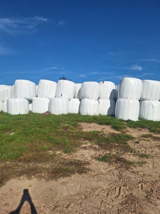 Siano I sianokiszonka