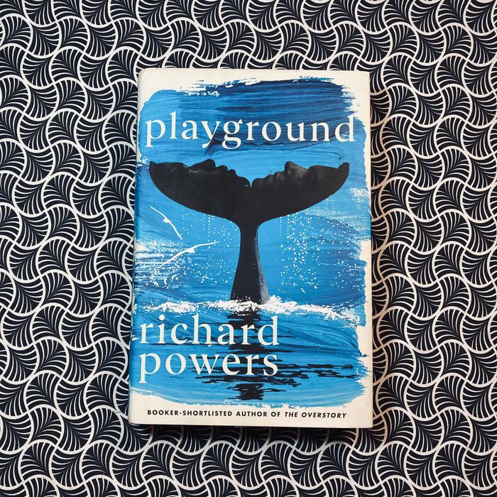Playground - Richard Powers