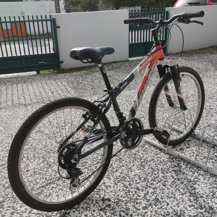 Bicicleta junior