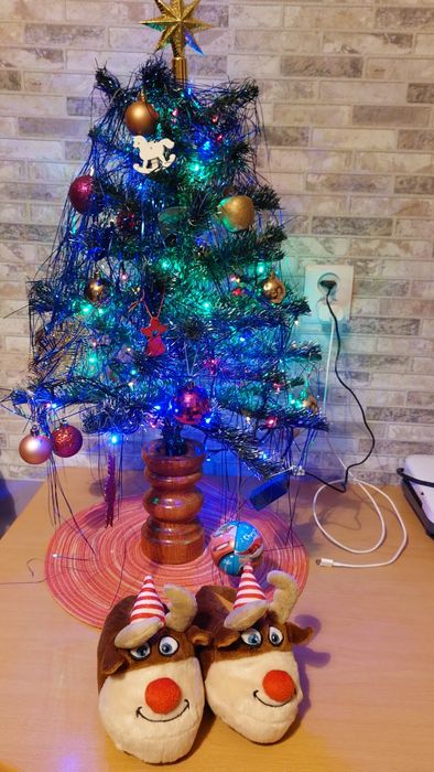 Papcie świąteczne renifery