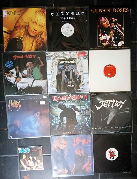 Hard Rock / Heavy Metal (vinil)