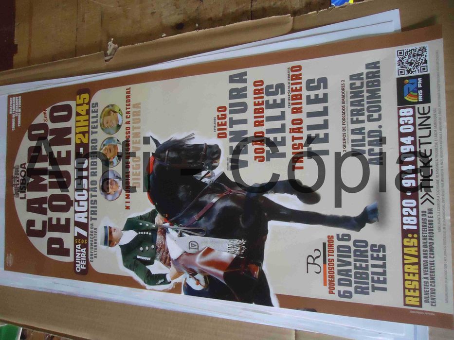 Toiros - Cartazes de Montra 4