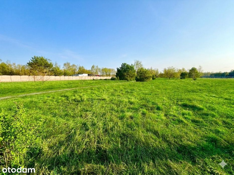 Działka z potencjałem inwestycyjnym na Lublinku!