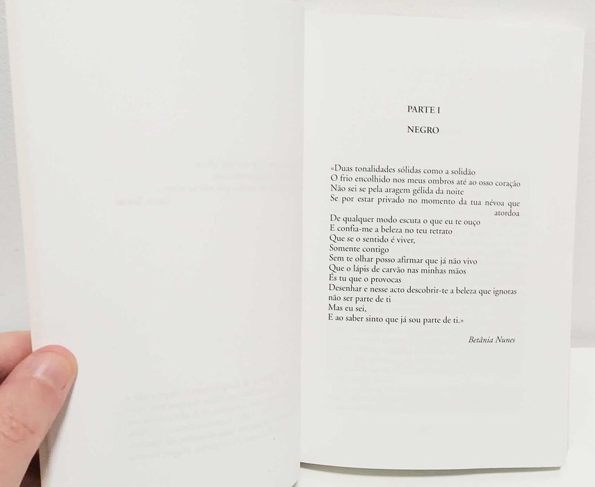 Livro - Depois da Noite, de Luís Costa Pires
