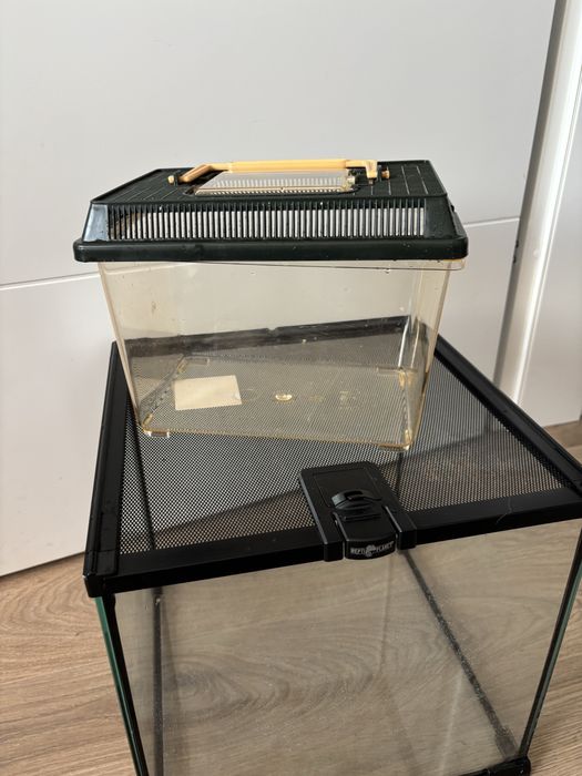 Terriarium 30x30x30