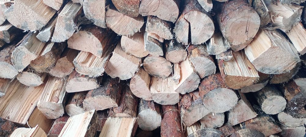 Suche drewno opałowe kominkowe