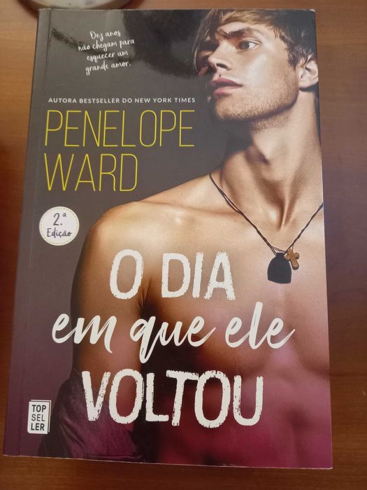 O dia em que ele voltou - PENELOPE WARD