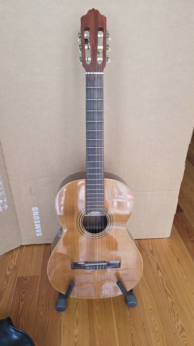 Viola com saco e acessórios