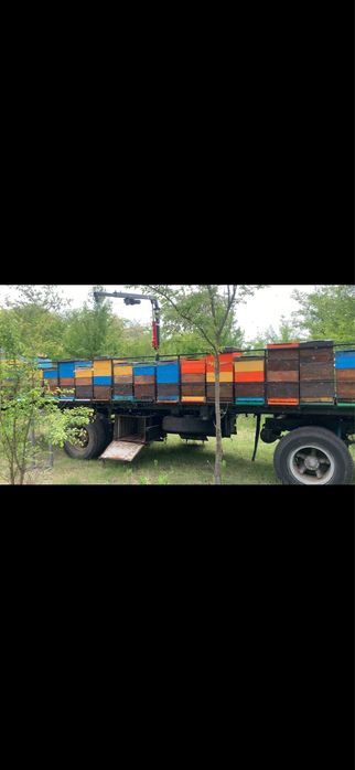 Причеп для бджіл