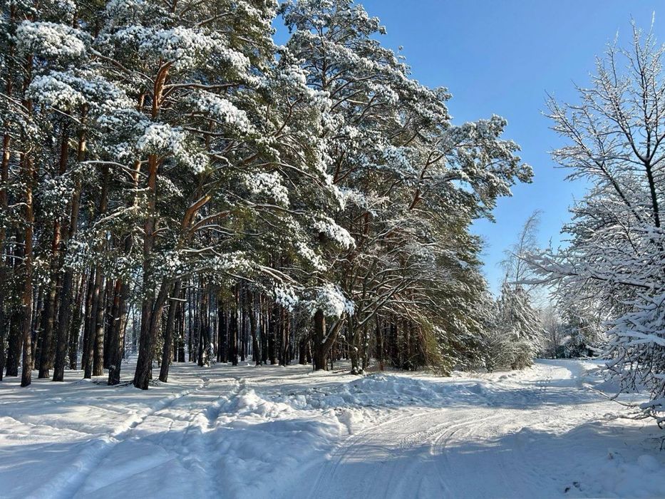 Готовий будинок  з виходом до лісу! Здвижівка! 20 соток