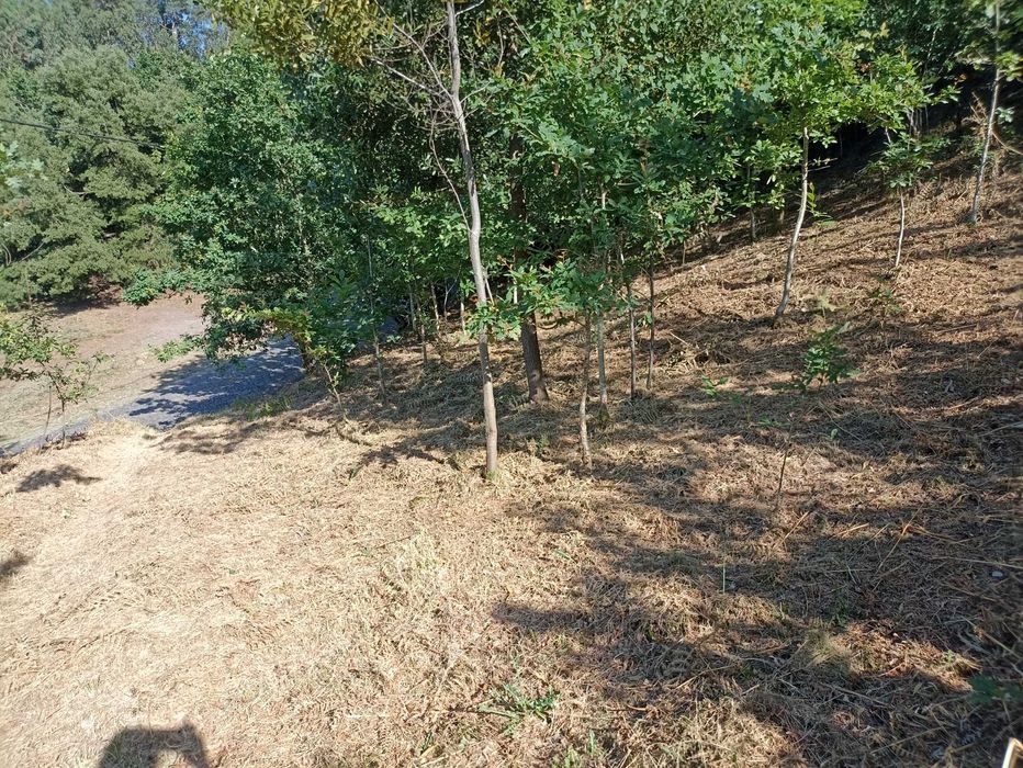 Terreno de 1000m2 Urbanizável