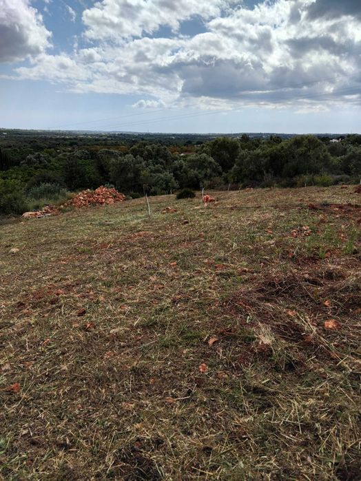 Limpeza de jardins, terrenos e afins