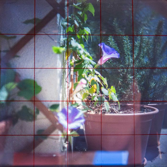Câmara analógica Yashica Mat -Médio Formato