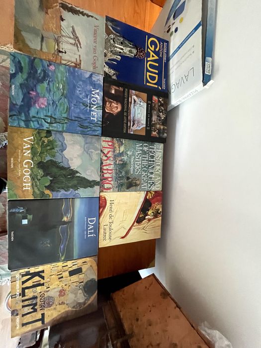 Conjunto de vários livros de arte, literatura, pintura e escultura