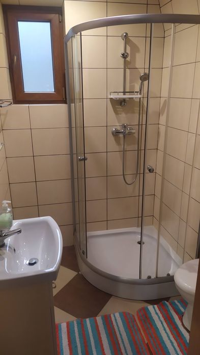 Wynajmę domek dla 4-5 osób na leśej polanie