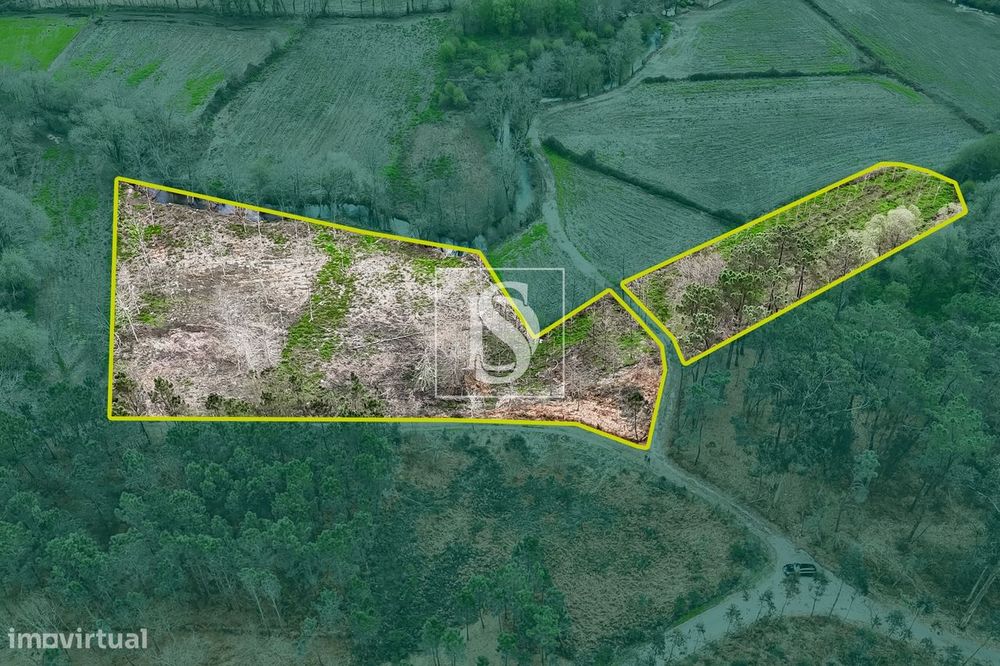 Terreno Rústico  Venda em Associação de freguesias do Vale do Neiva,Po