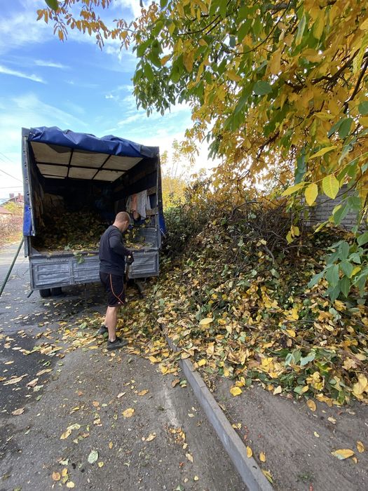 Вивоз веток , хлама , строй мусор, обрезка дерев,демонтаж,чиска участк