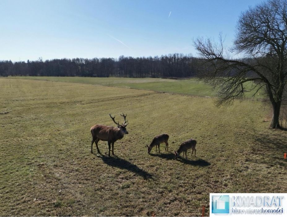 Sprzedam działki budowlane w Gałkówku pod Łodzią