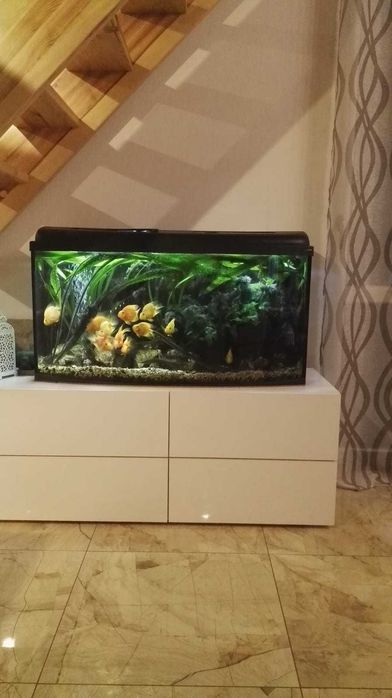 Akwarium 200L – kompletne, gotowe do zarybienia | Fluval 305