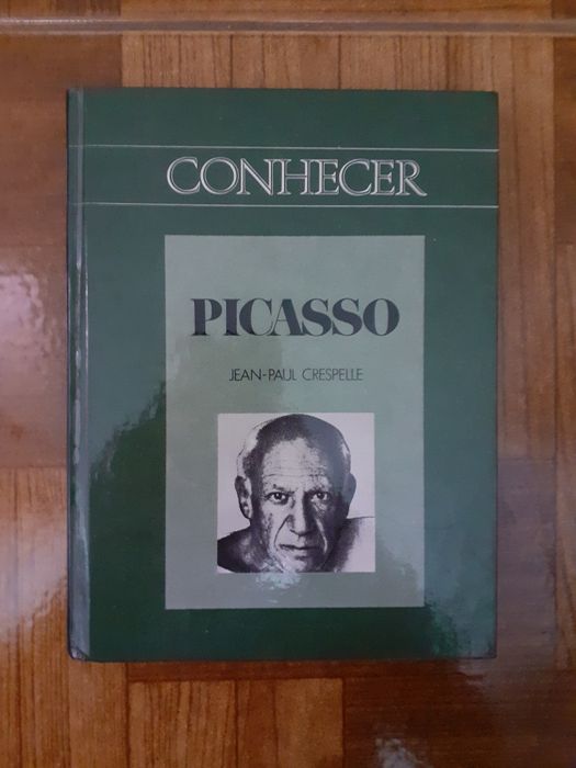 Conhecer Picasso