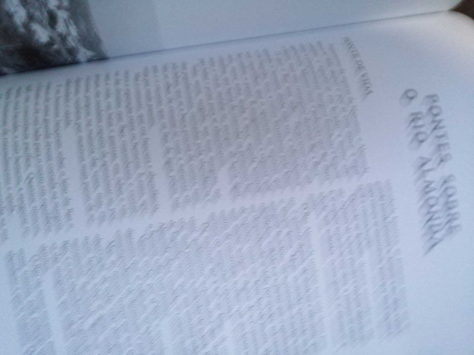 pinceladas torrejanas , joaquim rodrigues bicho , 2000