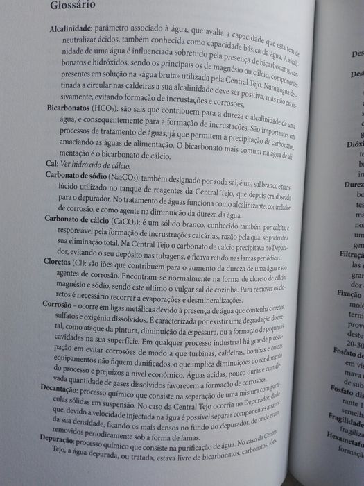 Central Tejo — uma biografia, volume I