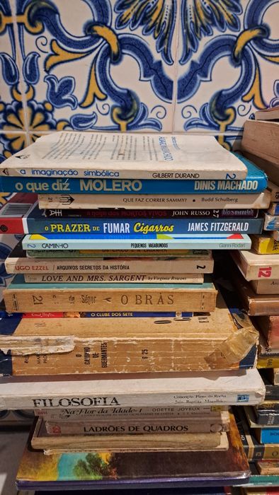 Diversos livros de vários estilos 1 euro cada