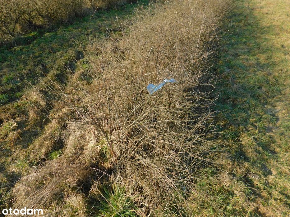 Syndyk sprzeda - Mogielnica, dz. nr 1272, 1304 oraz 1303 - Widok 5