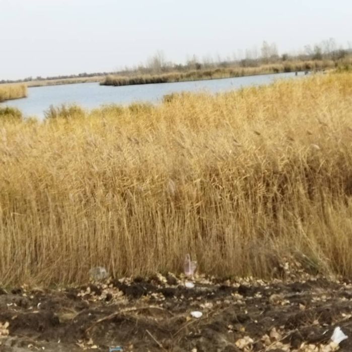 Продается участок - 0,8346 га с выходом к берегу реки Самара