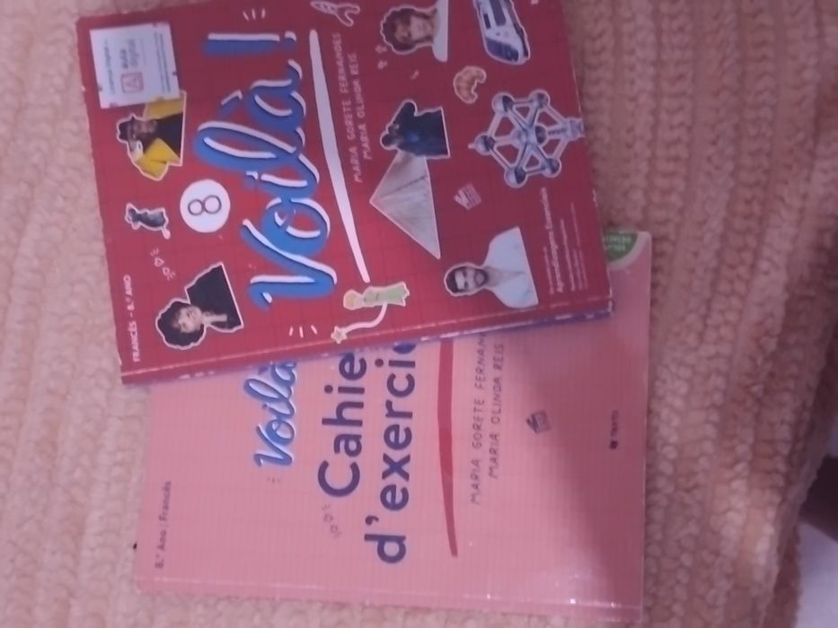 Manuais e livros de fichas do 8°ano