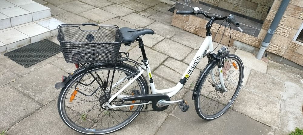 Rower damski  Pegasus