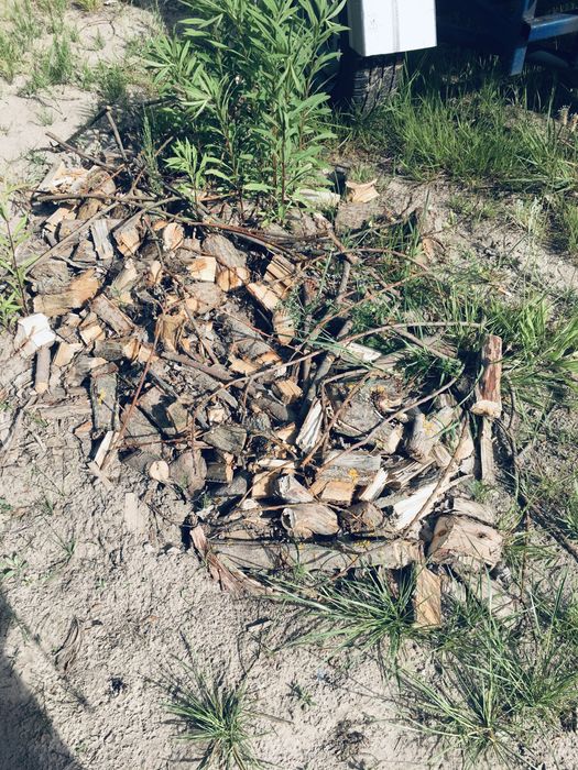 Потужний Подрібнювач гілок Дизельний з валом відбору дробарка