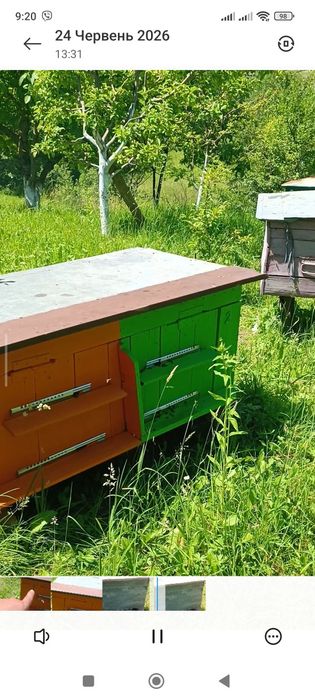 Продам бджіл з вуликами