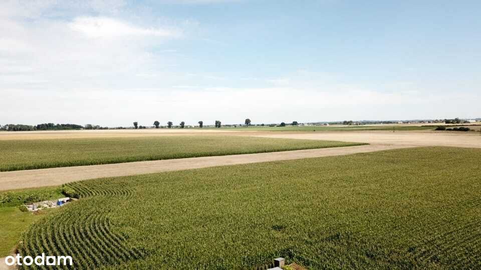 Duża działka budowlana w spokojnej okolicy - Widok 4