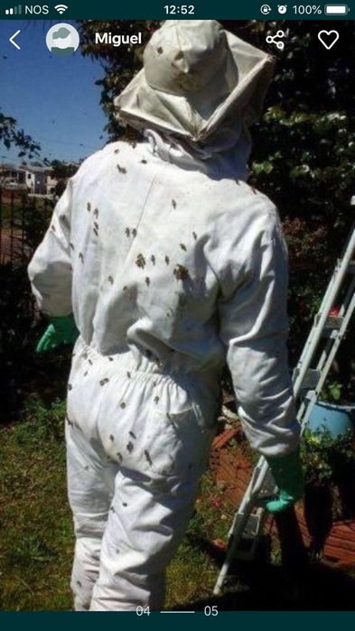 Recolho/Apanho/Retiro/Capturo Enxames de Abelhas