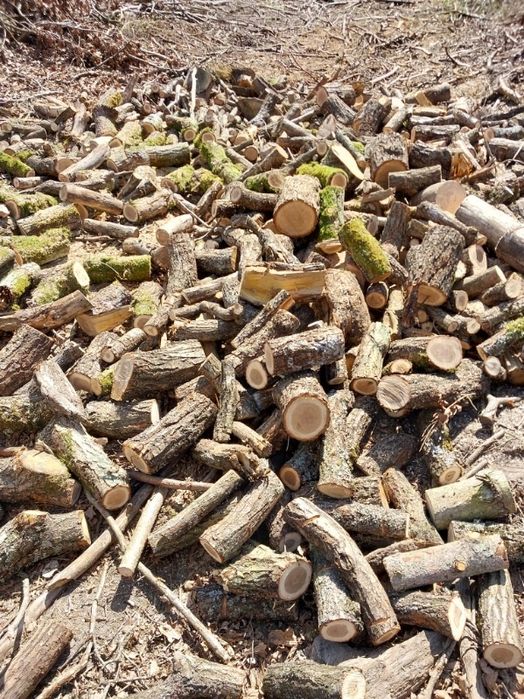 Gałęziówka na sprzedaż