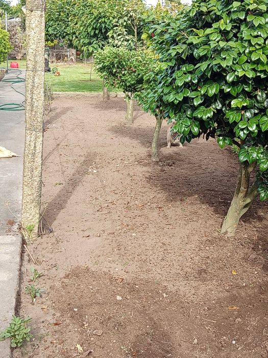 Jardins  limpeza terrenos