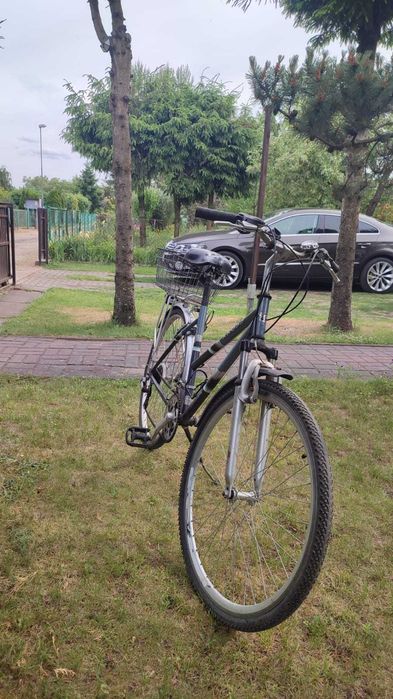 Rower kross trekking z koszem