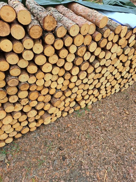 Drewno opalowe sosna