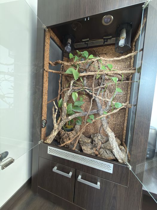 Terrarium dla gada ,kameleona kompletne