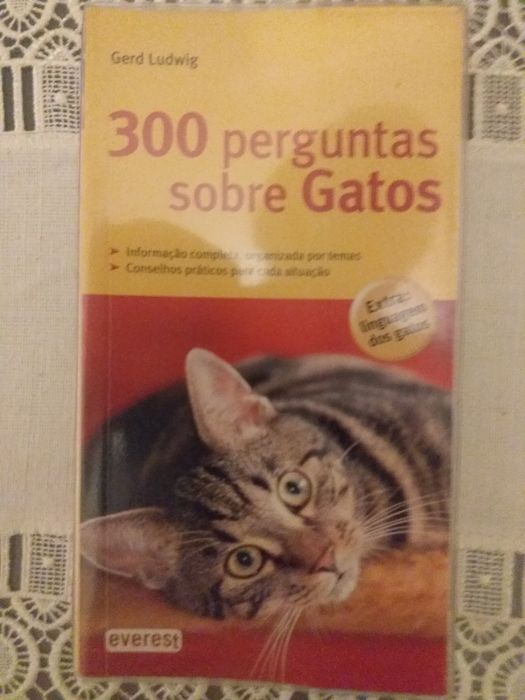 Vários  Livros de GATOS.