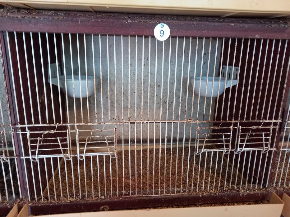 Vendo vários tipos de gaiolas