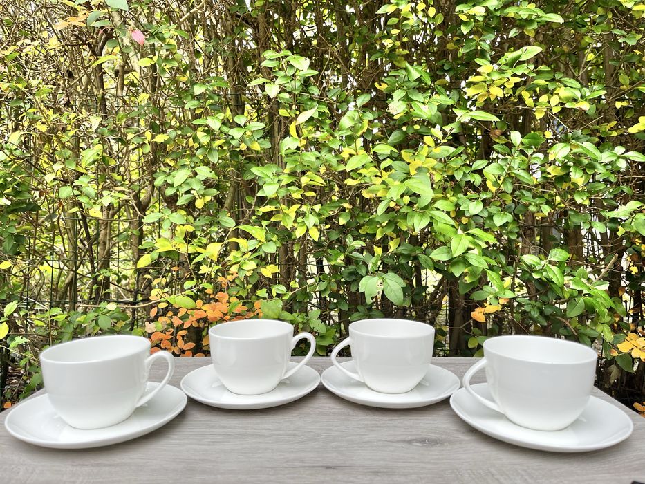 Кістяна порцеляна Bone China