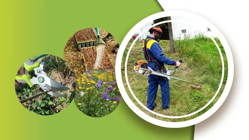 Jardineiro – Corte de Relva, Podas e Limpeza de Jardins