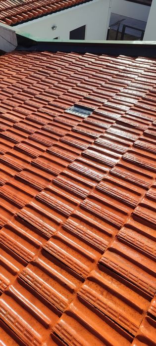 Pintor profissional de interior ,exterior, telhados ,portas , verniz .