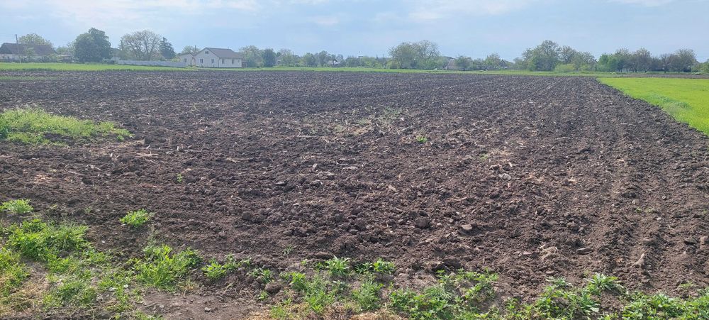 Продам будинок в селі Знаменівка