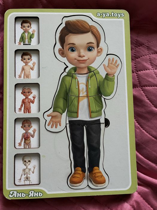 Пазл тіло людини