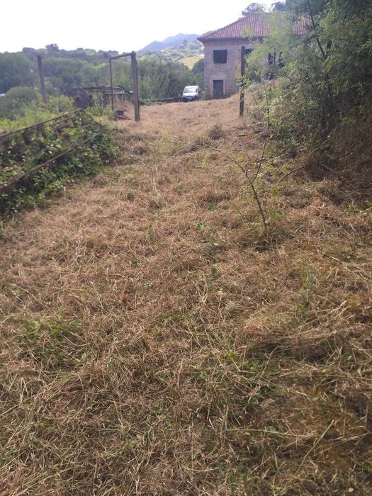 Quinta em Colares, Sintra